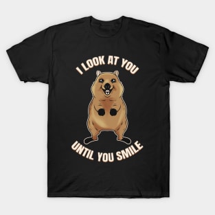 I look at you until you smile - The Quokka T-Shirt